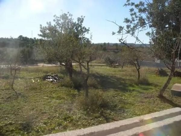 Terreno en calle el Limonero, 10 a