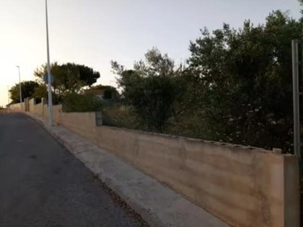 Terreno en calle el Limonero, 10 a