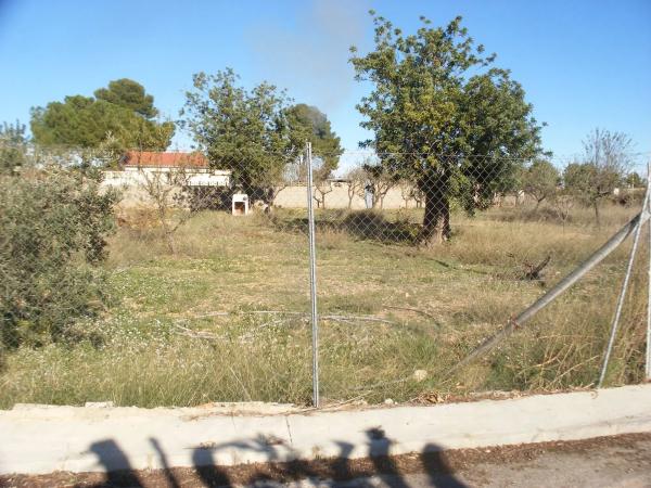 Terreno en calle el Limonero, 10 a