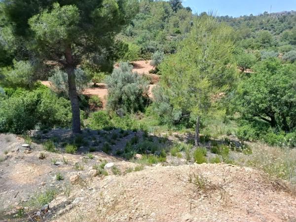 Terreno en Cueva De Las Palomas