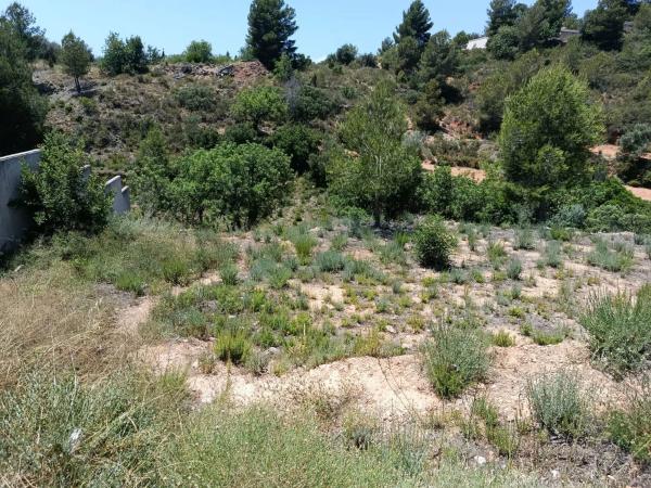 Terreno en Cueva De Las Palomas