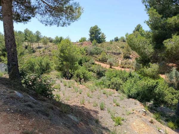 Terreno en Cueva De Las Palomas