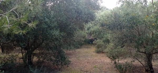 Terreno en Poligono 15, 7