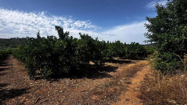 Terreno en plaza Numero 04, 13