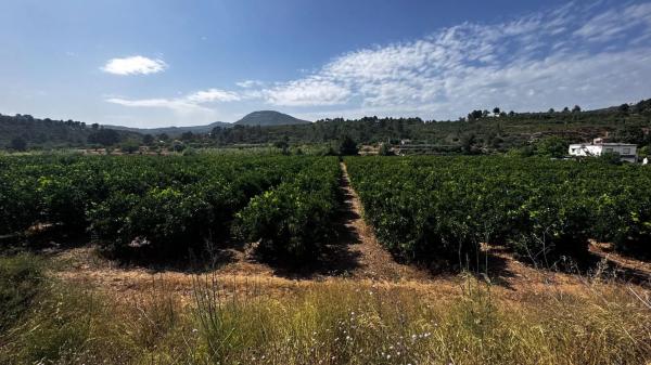 Terreno en plaza Numero 04, 13