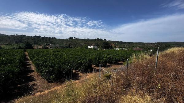 Terreno en plaza Numero 04, 13