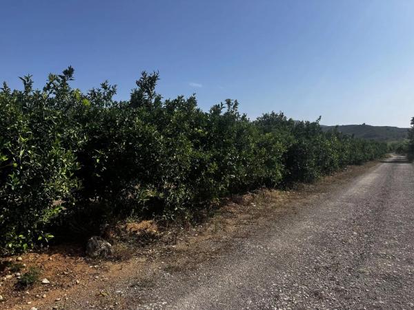 Terreno en plaza Numero 04, 13