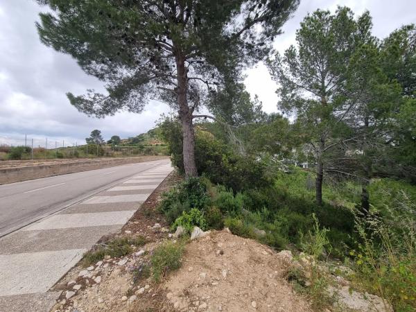 Terreno en Urbanizacion Bosque U12