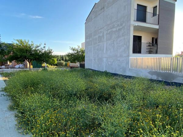 Terreno en calle rosalia de castro s/n