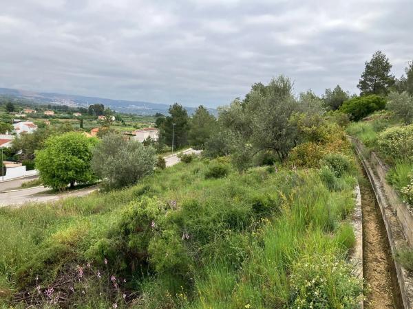 Terreno en calle Higueral, 13