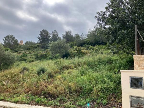 Terreno en calle Higueral, 13