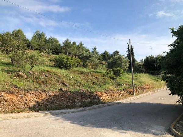 Terreno en calle Higueral, 13