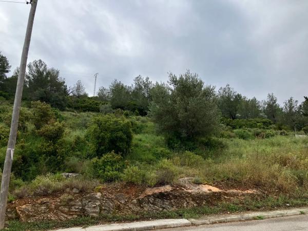 Terreno en calle Higueral, 13