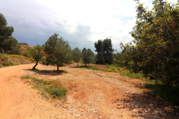 Terreno en Alborache