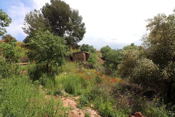 Terreno en Alborache