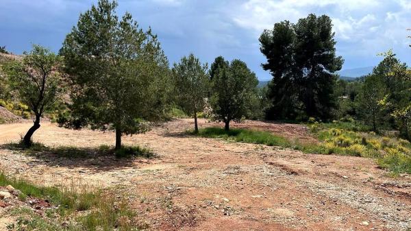 Terreno en Alborache