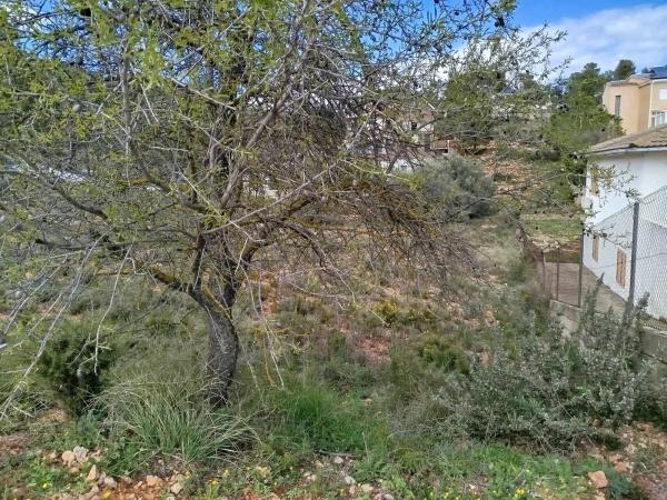 Terreno en avenida Cerro, 29