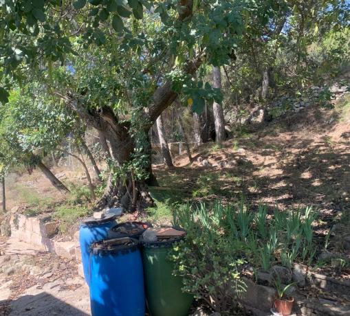 Terreno en calle els Conills s/n Sn