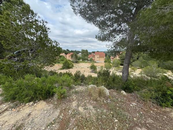 Terreno en calle 22, 425