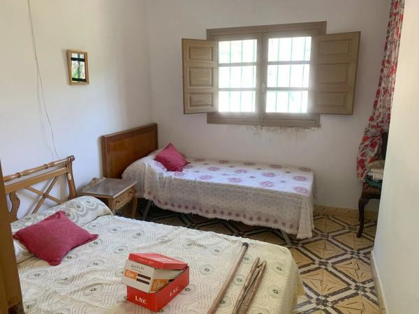 Terreno en calle els Conills s/n Sn