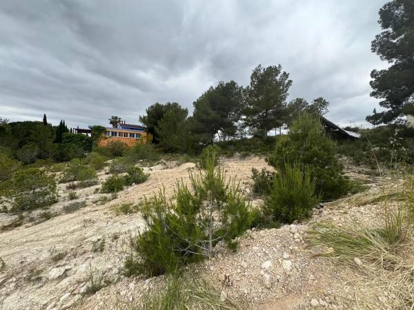 Terreno en calle 22, 425