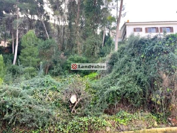 Terreno en calle 16, 5 -39