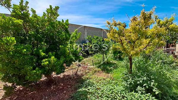 Terreno en pozo Nieve, 11