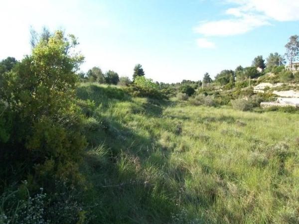 Terreno en Alborache