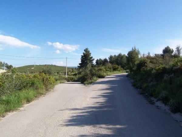 Terreno en Alborache