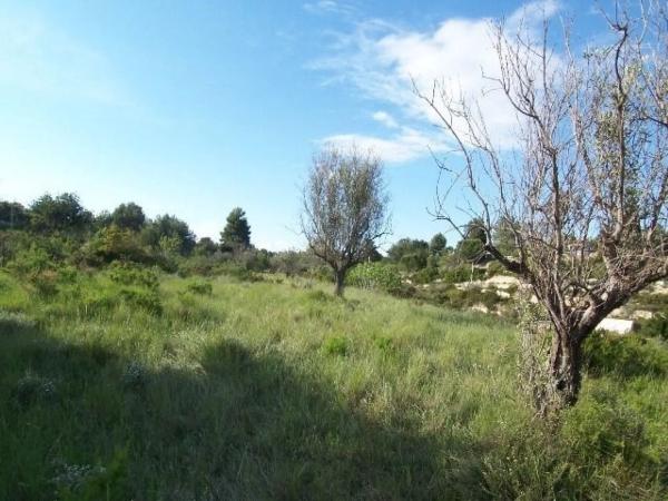 Terreno en Alborache