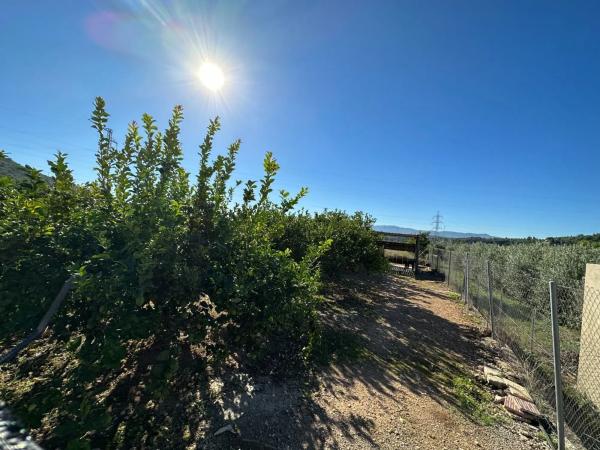 Terreno en Buñol