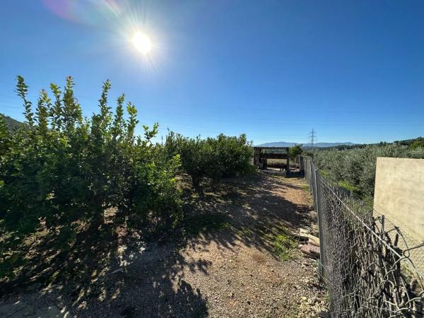 Terreno en Buñol