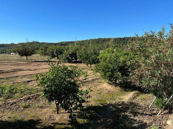 Terreno en Buñol