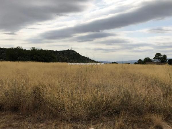 Terreno en calle Ernesto Jimenez Navarro