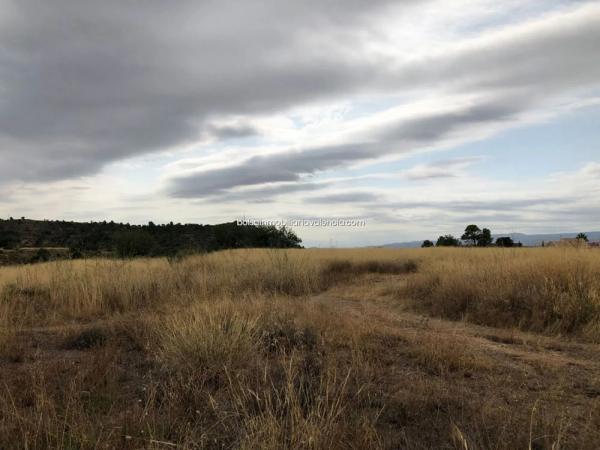 Terreno en calle Ernesto Jimenez Navarro