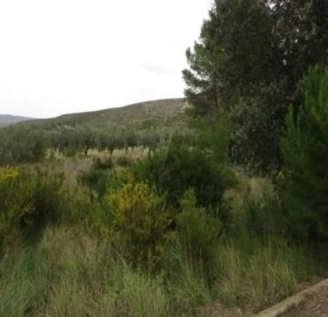 Terreno en Urbanització Llanorel 11