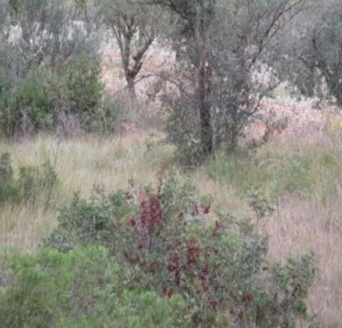 Terreno en Urbanització Llanorel 11