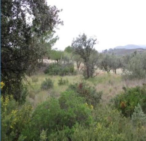 Terreno en Urbanització Llanorel 11