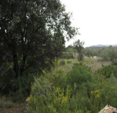 Terreno en Urbanització Llanorel 11