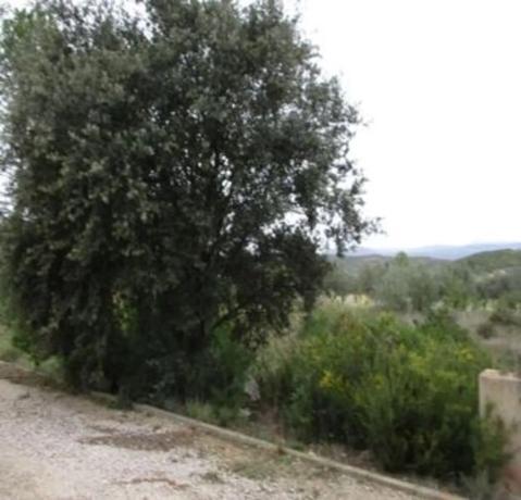 Terreno en Urbanització Llanorel 11