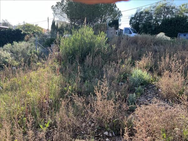 Terreno en calle San Miguel