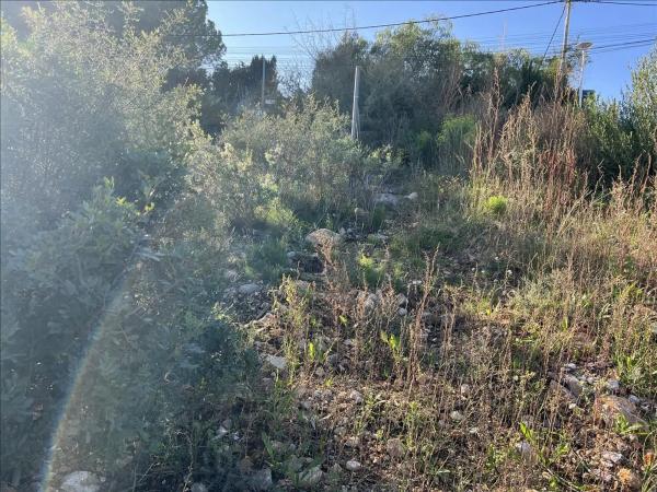 Terreno en calle San Miguel