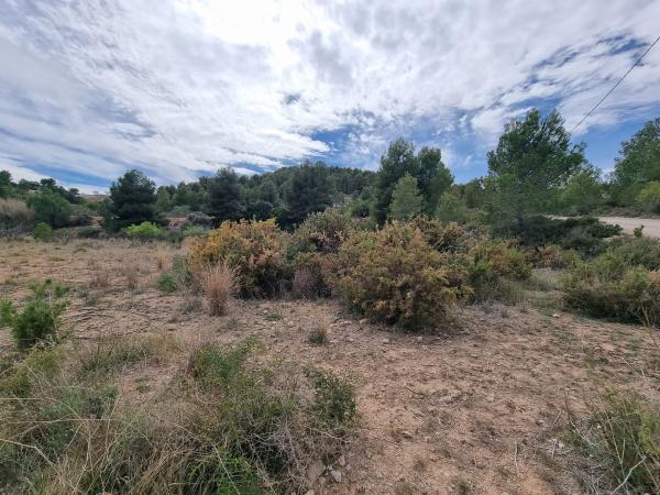 Terreno en Alborache