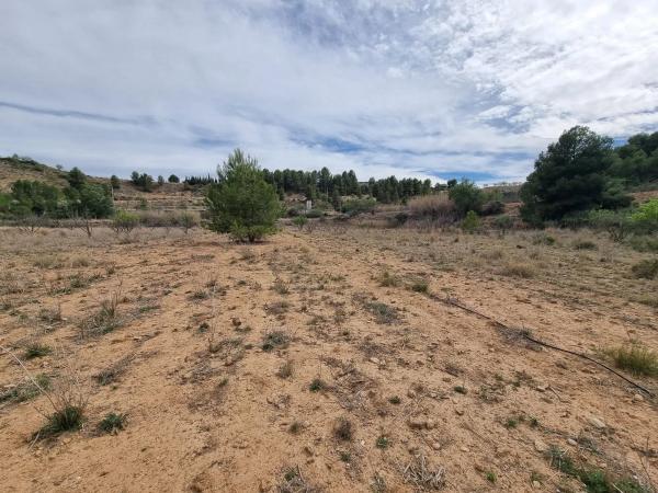 Terreno en Alborache