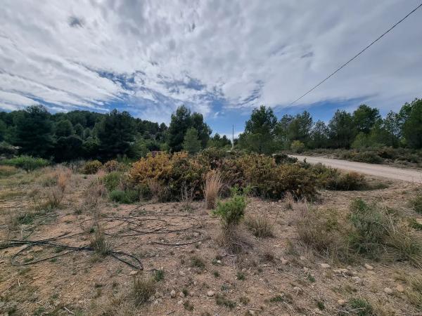 Terreno en Alborache