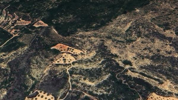 Terreno en plaza n 01