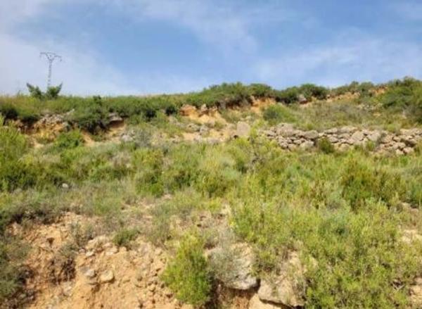 Terreno en plaza n 01