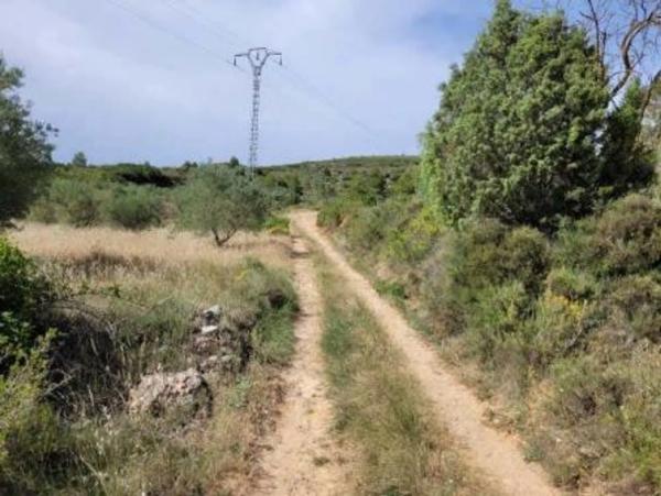 Terreno en plaza n 01