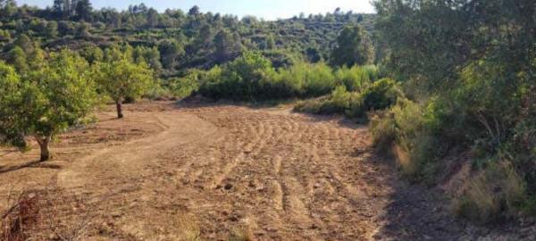 Terreno en Cv-425