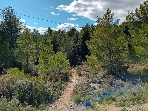 Terreno en calle Severo Ochoa s/n Sn